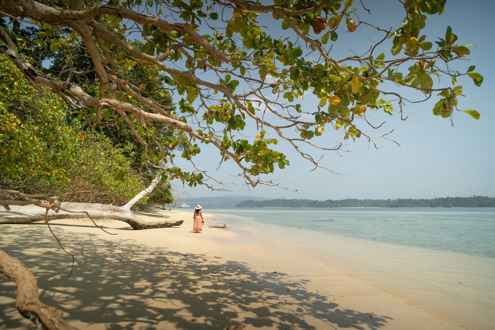Tropical beach and ocean
